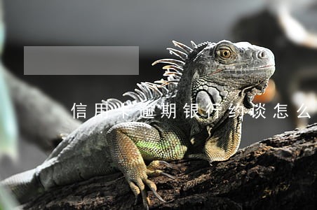 信用卡逾期银行约谈怎么办