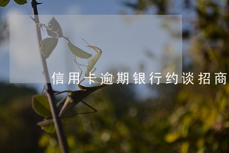信用卡逾期银行约谈招商