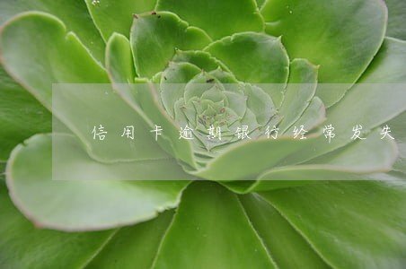 信用卡逾期银行经常发失联短信 信用卡逾期银行经常发失联短信