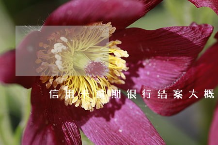 信用卡逾期银行结案大概多久
