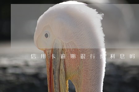 信用卡逾期银行给利息吗 信用卡逾期银行给利息吗