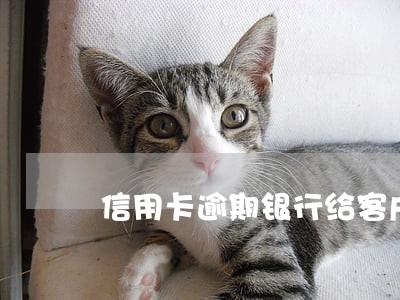 信用卡逾期银行给客户的函 信用卡逾期银行给客户的函