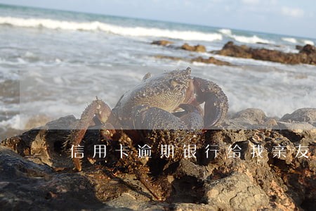 信用卡逾期银行给我亲友打电话
