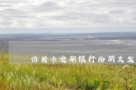 信用卡逾期银行给朋友发信息 信用卡逾期银行给朋友发信息