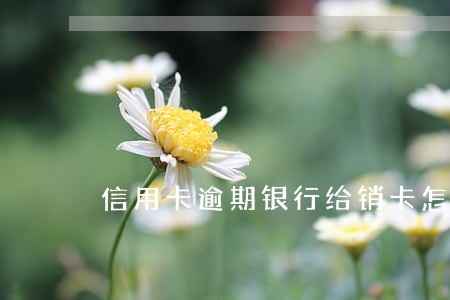 信用卡逾期银行给销卡怎么办 信用卡逾期银行给销卡怎么办