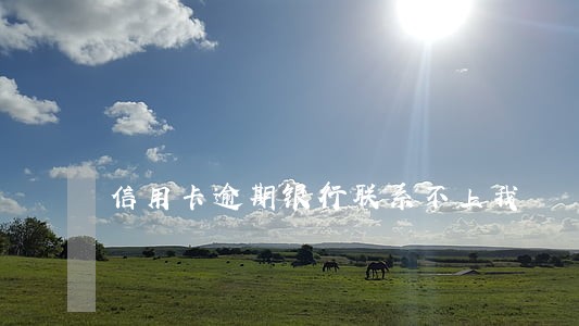 信用卡逾期银行联系不上我 信用卡逾期银行联系不上我