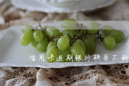 信用卡逾期银行联系不到我会 信用卡逾期银行联系不到我会