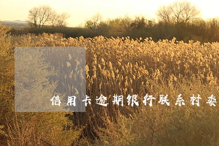 信用卡逾期银行联系村委会了 信用卡逾期银行联系村委会了