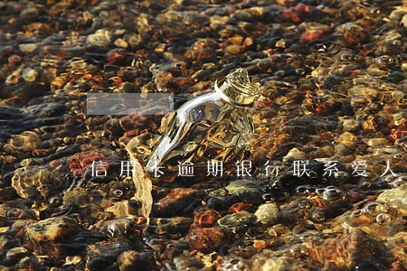 信用卡逾期银行联系爱人偿还 信用卡逾期银行联系爱人偿还