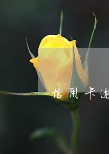 信用卡逾期银行联系邻居