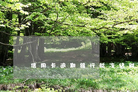 信用卡逾期银行能冻结财产吗 信用卡逾期银行能冻结财产吗