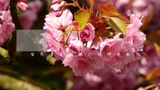 信用卡逾期银行能够贷款吗