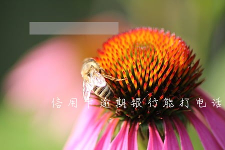 信用卡逾期银行能打电话给家人吗 信用卡逾期银行能打电话给家人吗