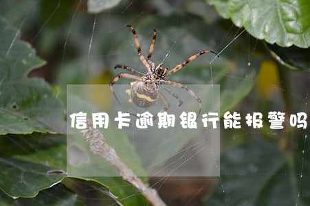 信用卡逾期银行能报警吗 信用卡逾期银行能报警吗