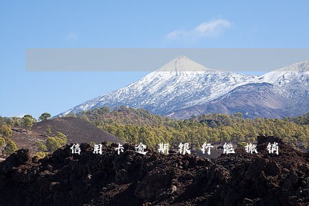 信用卡逾期银行能撤销 信用卡逾期银行能撤销
