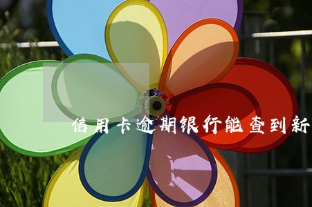 信用卡逾期银行能查到新单位吗