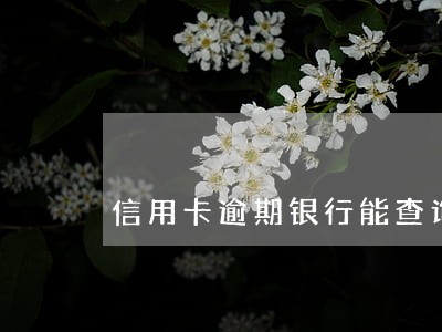 信用卡逾期银行能查询 信用卡逾期银行能查询