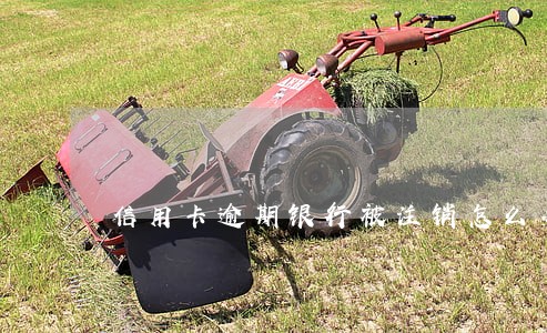 信用卡逾期银行被注销怎么办 信用卡逾期银行被注销怎么办