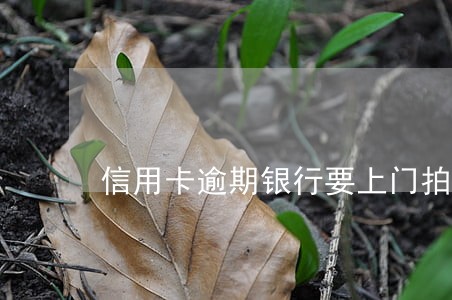 信用卡逾期银行要上门拍照取证