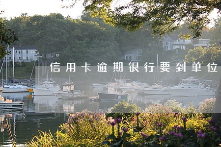 信用卡逾期银行要到单位取证
