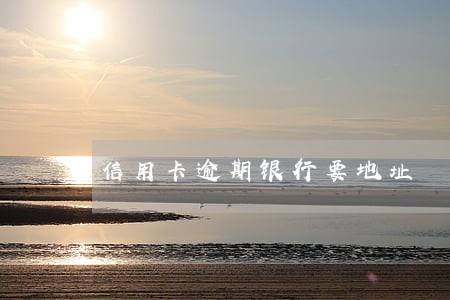 信用卡逾期银行要地址