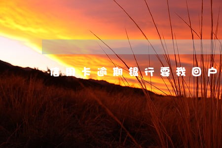 信用卡逾期银行要我回户籍所在地 信用卡逾期银行要我回户籍所在地