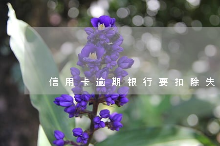 信用卡逾期银行要扣除失业金么