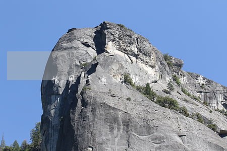 信用卡逾期银行要报案 信用卡逾期银行要报案