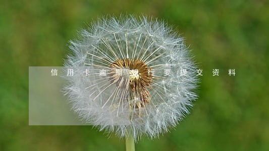 信用卡逾期银行要提交资料 信用卡逾期银行要提交资料