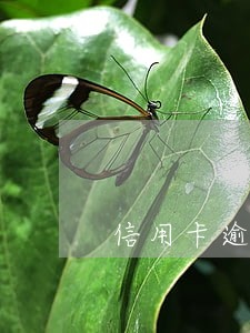 信用卡逾期银行要求上传流水 信用卡逾期银行要求上传流水