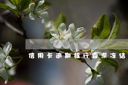 信用卡逾期银行要求冻结 信用卡逾期银行要求冻结