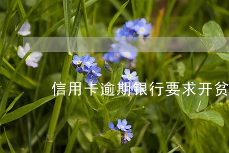 信用卡逾期银行要求开贫困证明 信用卡逾期银行要求开贫困证明