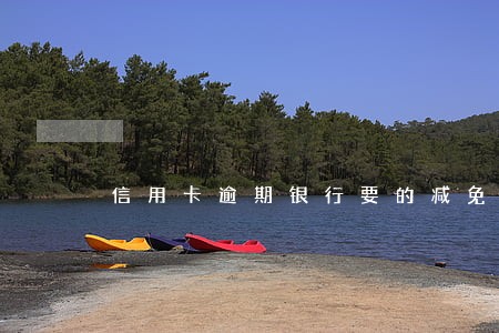 信用卡逾期银行要的减免证明 信用卡逾期银行要的减免证明