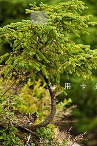 信用卡逾期银行要财产保全怎么办 信用卡逾期银行要财产保全怎么办