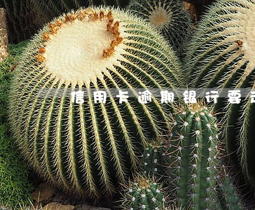 信用卡逾期银行要走司法程序