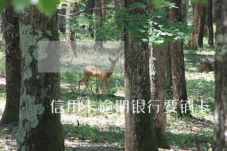信用卡逾期银行要销卡 信用卡逾期银行要销卡