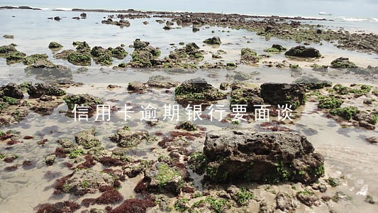 信用卡逾期银行要面谈