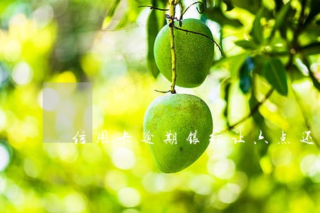 信用卡逾期银行让六点还清 信用卡逾期银行让六点还清