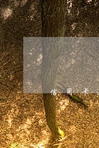 信用卡逾期银行让十二点还清