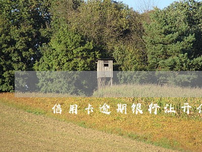 信用卡逾期银行让开低收入证明 信用卡逾期银行让开低收入证明