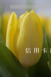 信用卡逾期银行让我下午两点还款 信用卡逾期银行让我下午两点还款
