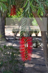 信用卡逾期银行让我准备应诉 信用卡逾期银行让我准备应诉