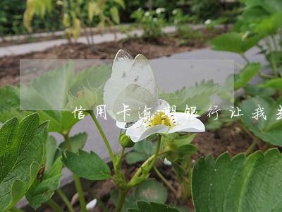 信用卡逾期银行让我去银行卡吗 信用卡逾期银行让我去银行卡吗