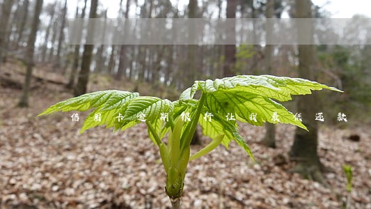 信用卡逾期银行让我最低还款 信用卡逾期银行让我最低还款