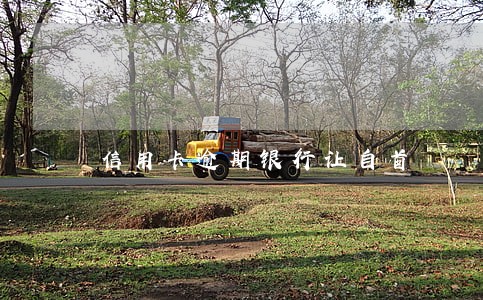 信用卡逾期银行让自首 信用卡逾期银行让自首
