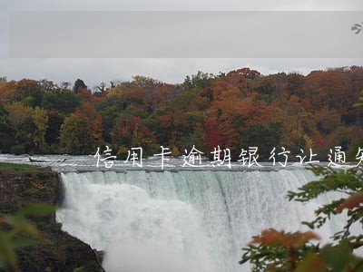 信用卡逾期银行让通知父母
