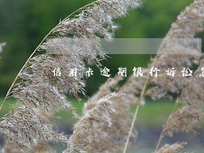 信用卡逾期银行诉讼怎么办 信用卡逾期银行诉讼怎么办