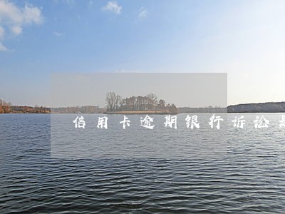 信用卡逾期银行诉讼是什么流程