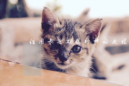 信用卡逾期银行诉讼流程是怎样的