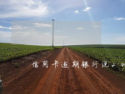 信用卡逾期银行说24小时立案